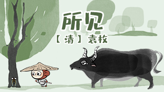 所见封面