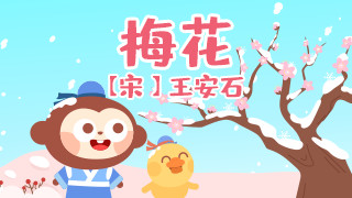 梅花封面