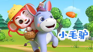 小毛驴封面