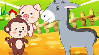 小毛驴封面