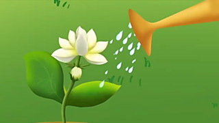 茉莉花封面