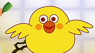 小鸡小鸡封面