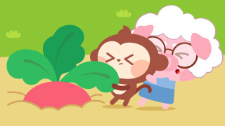 拔萝卜封面