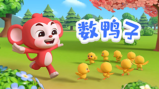 数鸭子封面