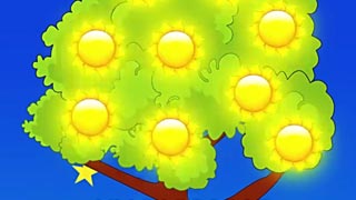 种太阳封面