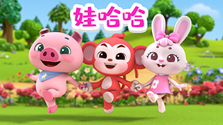 娃哈哈封面